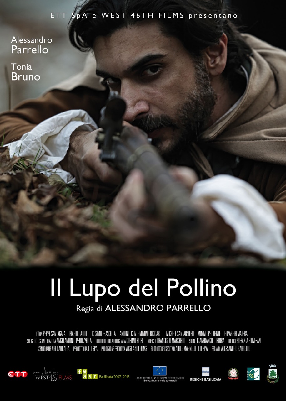 Il lupo del Pollino